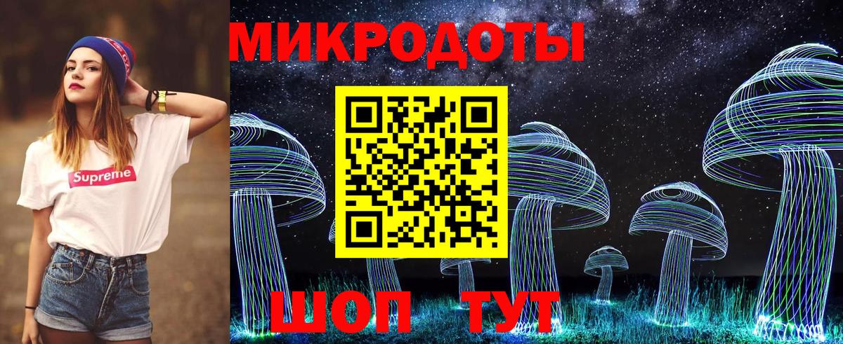 Псилоцибиновые грибы Psilocybine cubensis Гурьевск