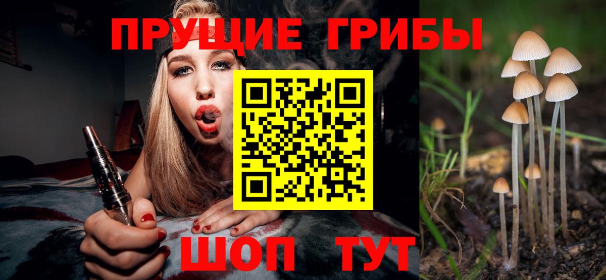Галлюциногенные грибы мицелий  Вход с VPN  где купить наркоту  Галлюциногенные грибы Magic Shrooms  Гурьевск 