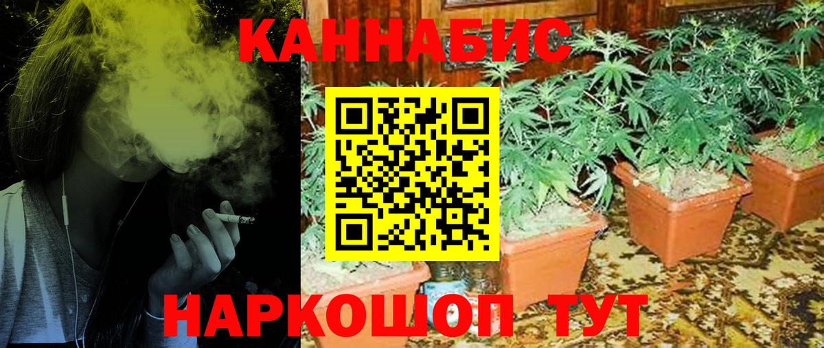 Бошки марихуана индика Гурьевск
